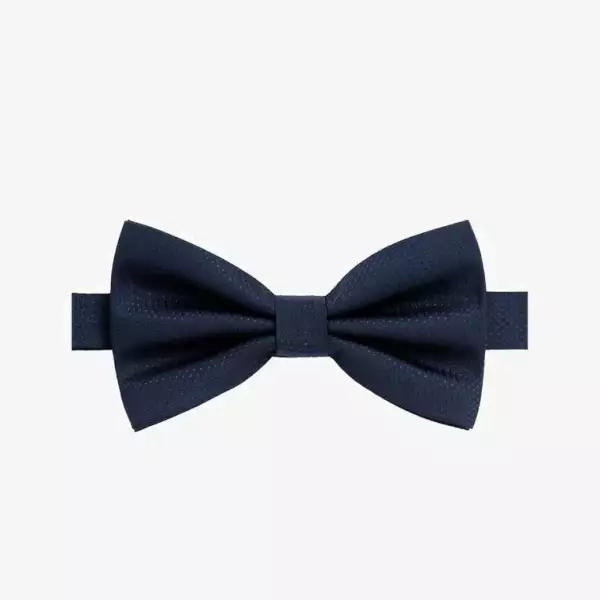 Noeud papillon bleu 1