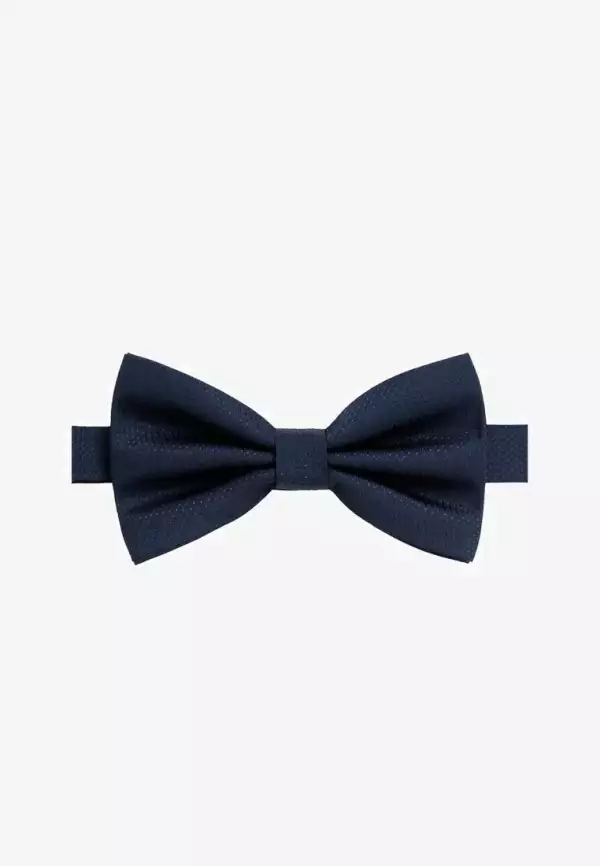 Noeud papillon bleu 1