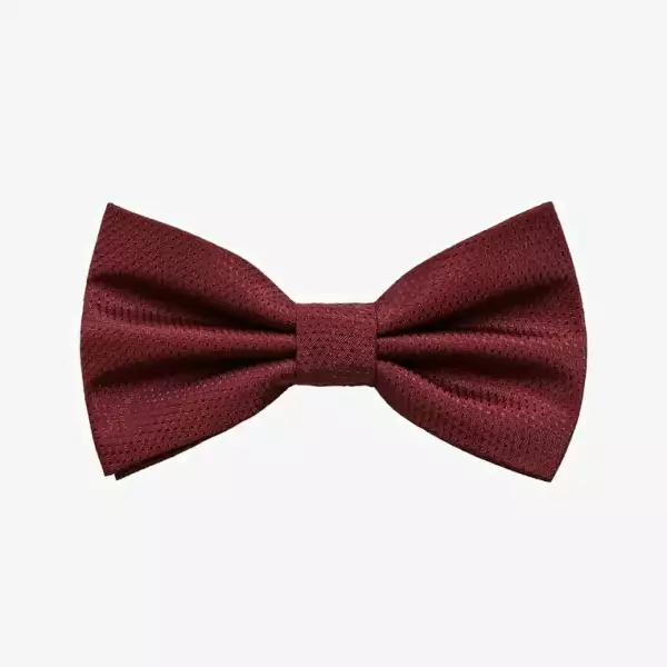 Noeud papillon Bordeaux 1
